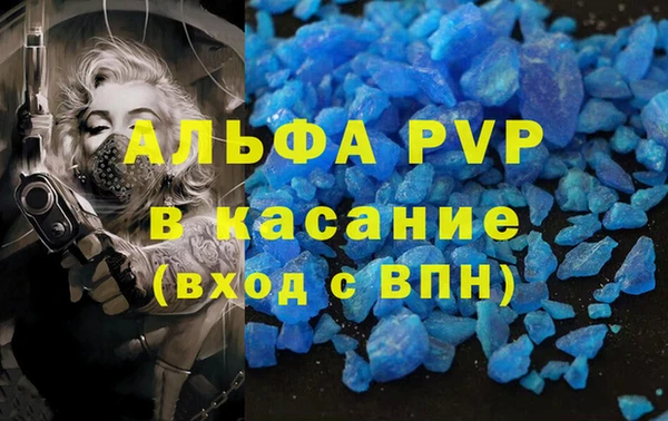 мяу мяу мука Аркадак