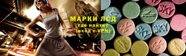 мяу мяу мука Аркадак