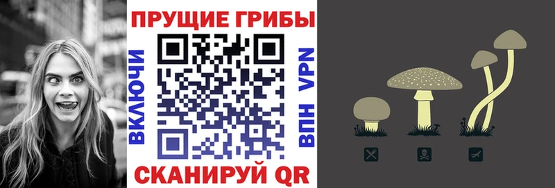 Псилоцибиновые грибы GOLDEN TEACHER  Мирный 